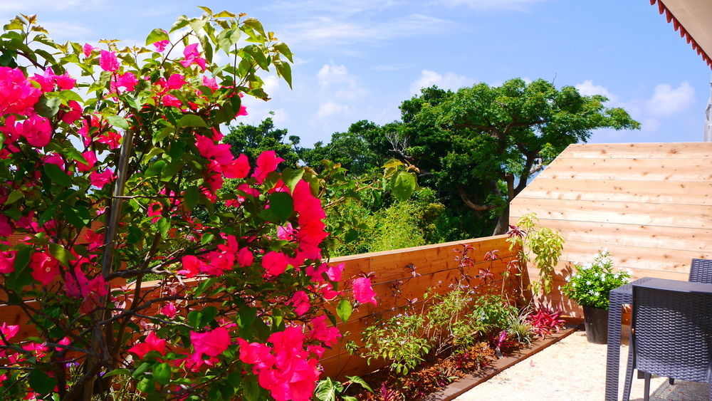 Ocean Hills Kouri Nakijin Exterior foto